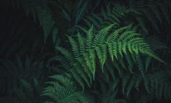 Featured image of post 议论