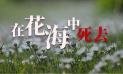Featured image of post 在花海中死去